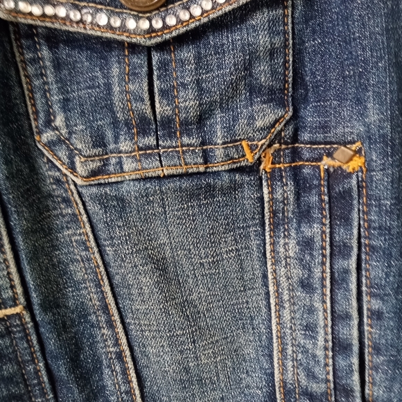 Cato - Picture 3 of 5